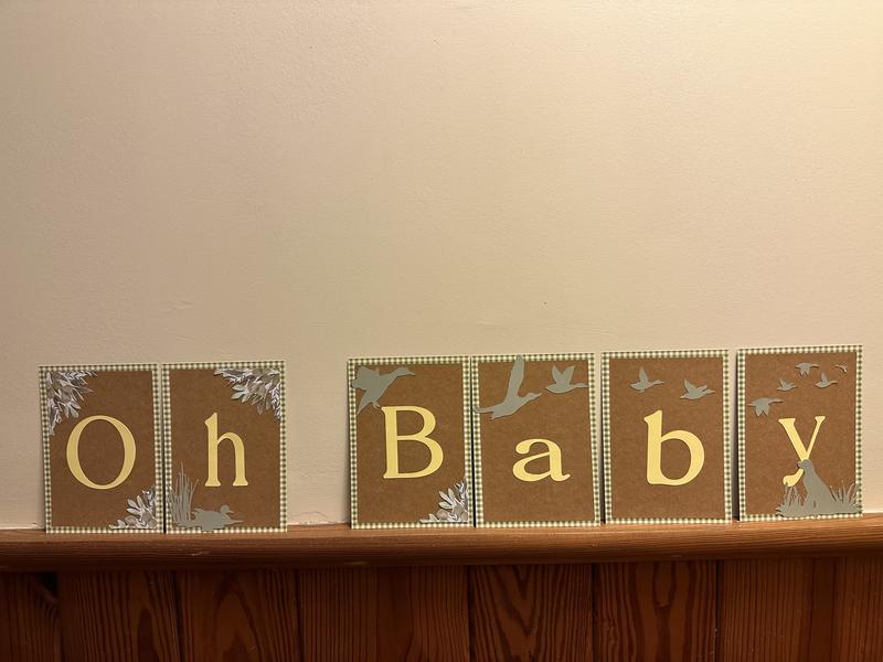Oh Baby ( duck theme baby shower)