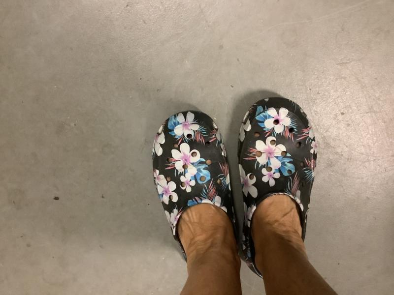 More Freesail please