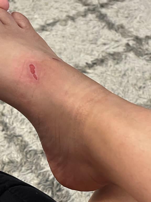 Photo submitted with review of product