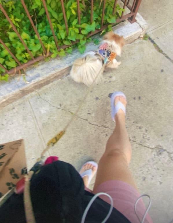 Photo submitted with review of product