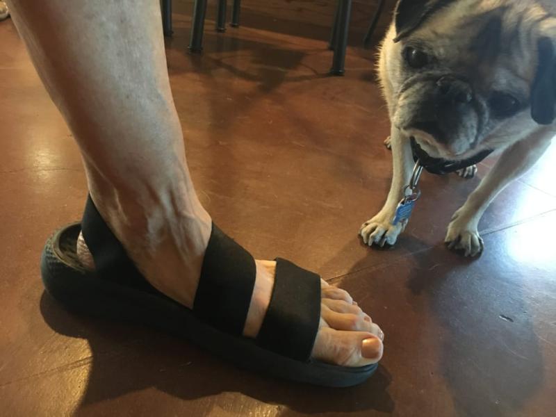 Photo submitted with review of product