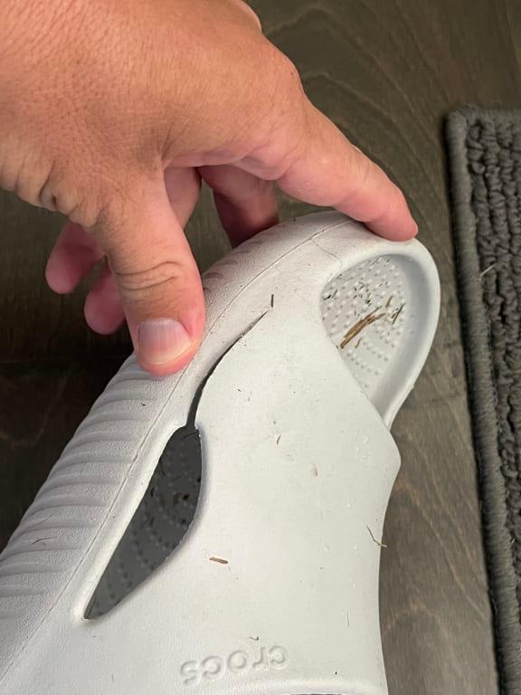 Photo submitted with review of product