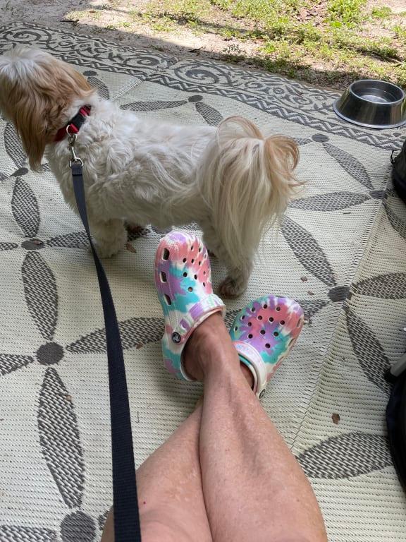 Photo submitted with review of product