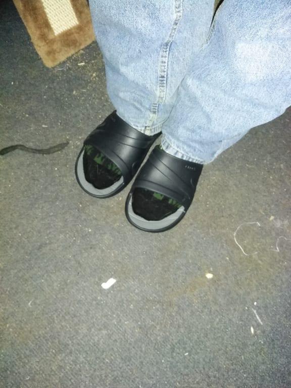 Don't ask, the hubby like socks with sandals.