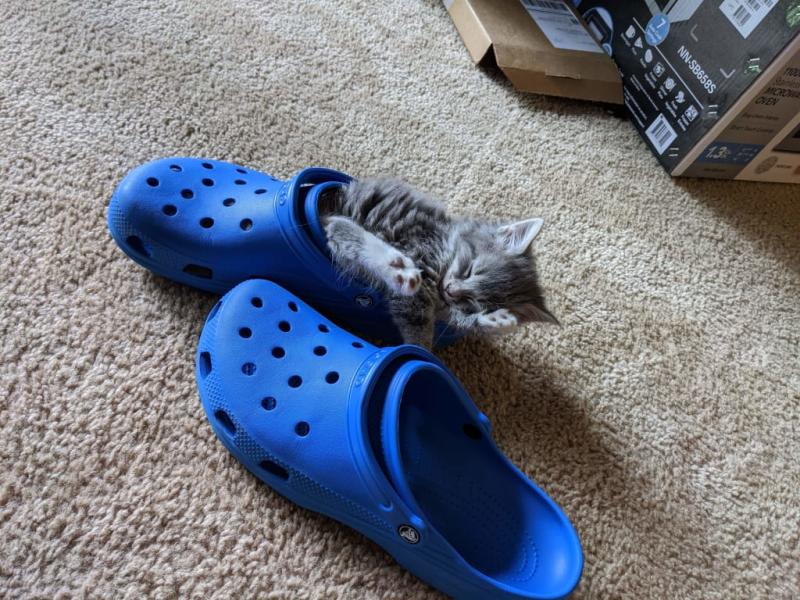 User uploaded product image