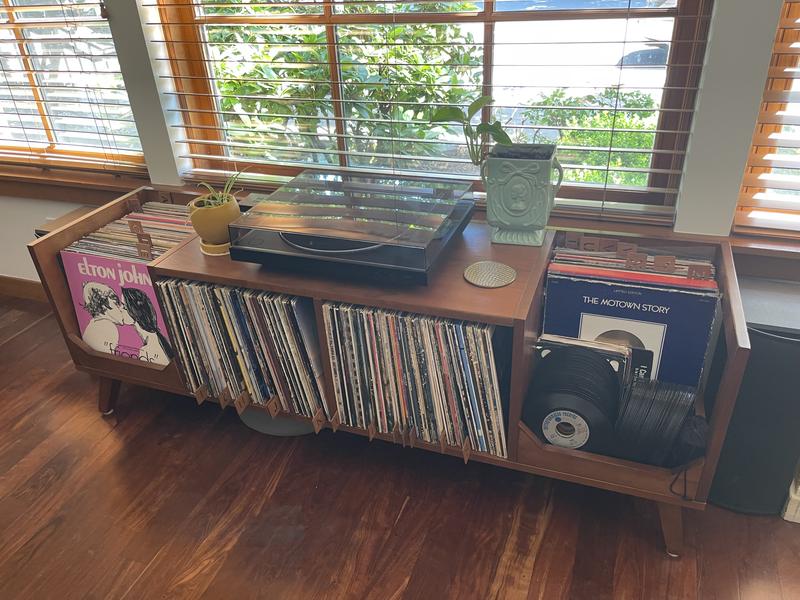 ASHEVILLE LOW RECORD PLAYER STAND WITH VINYL STORAGE | Crosley