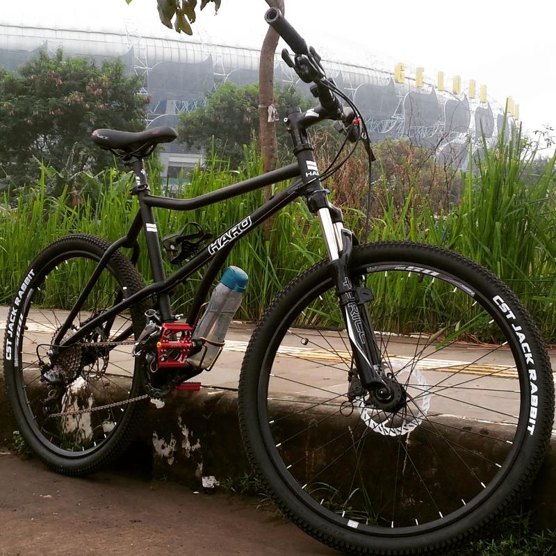 bike tire jack