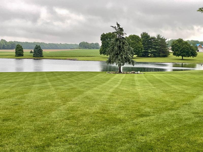 Photo - commentaire 3.