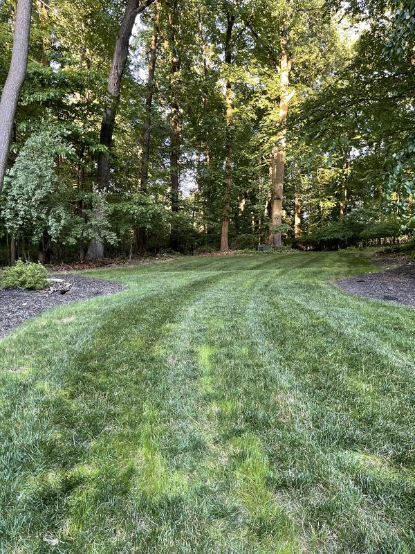 Lawn Striping Kit for 50-, 54- and 60-inch Decks - 19A70059OEM