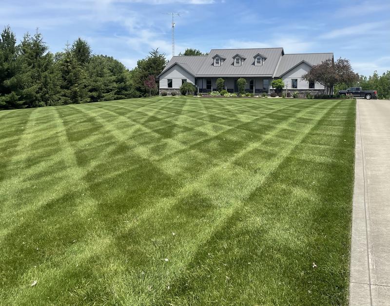 Photo - commentaire 4.