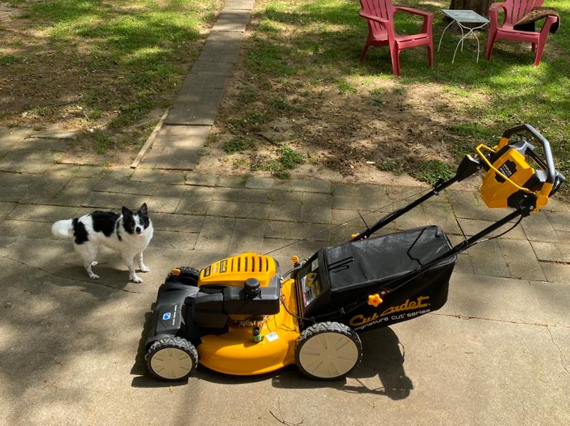 Cub cadet sc300 hotsell