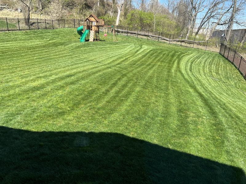 Xtreme® 2-in-1 Blade for 42-inch Cutting Decks - 942-04308-X | Cub