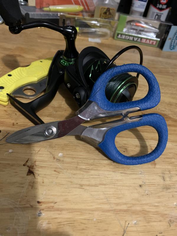 Photo - commentaire&nbsp;5.