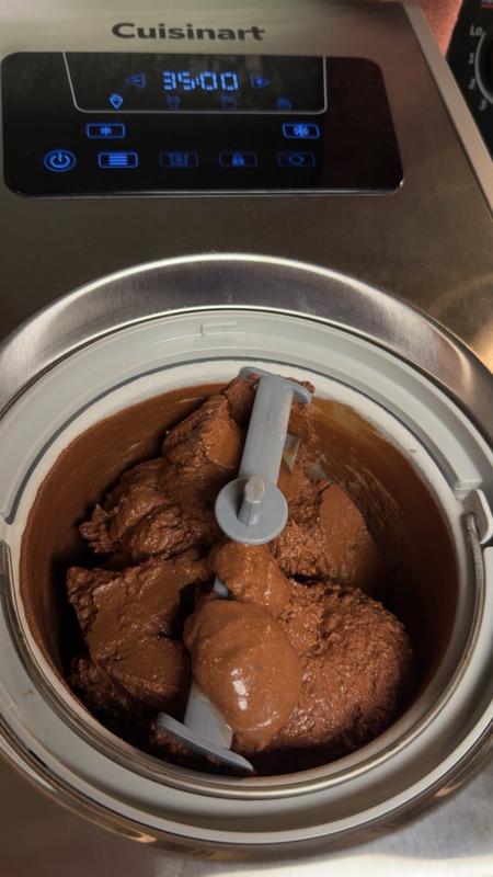 Chocolate coconut ice cream