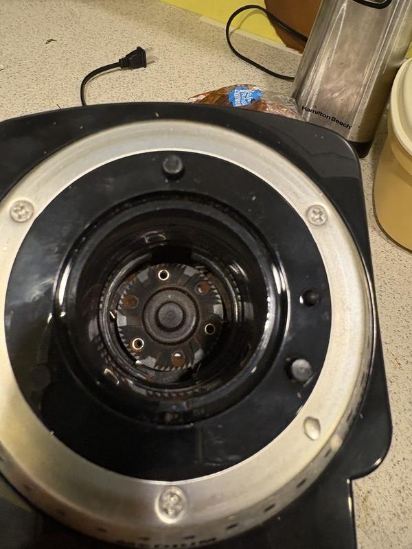 Photo - commentaire 2.