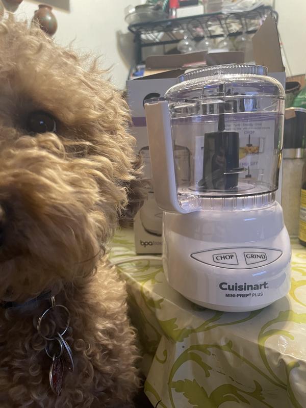 Sous chef wanted a selfie