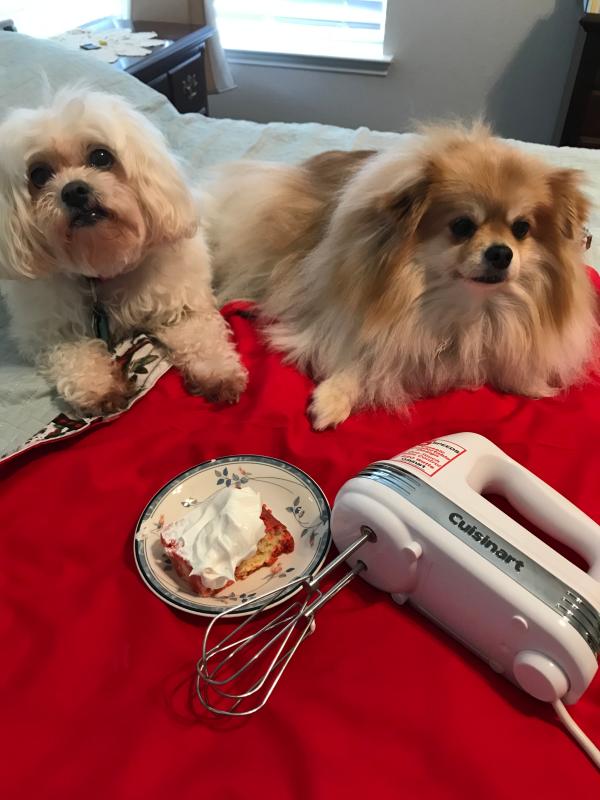 That is a great first cake Mom. Are you going to share?