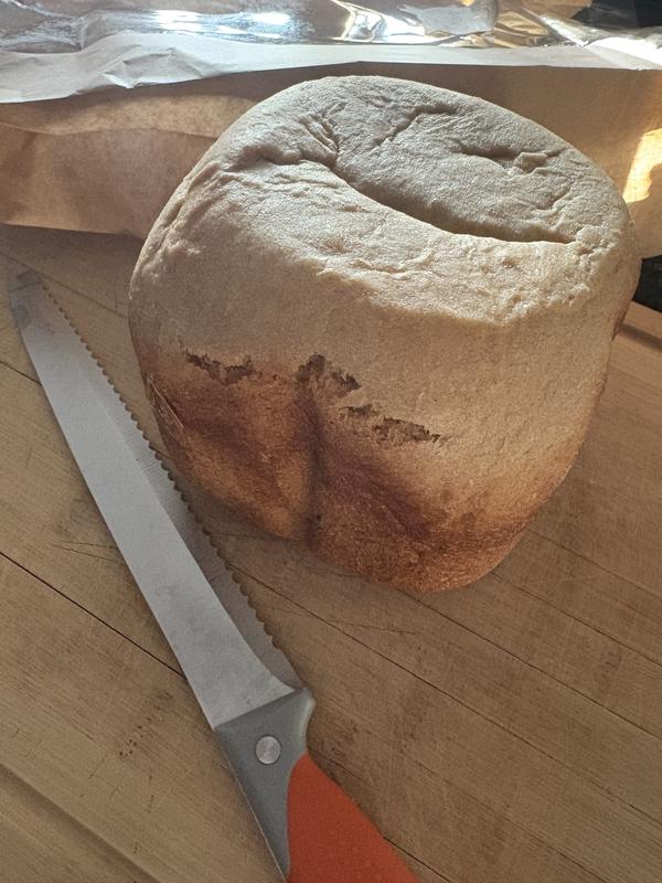 Photo - commentaire&nbsp;7.