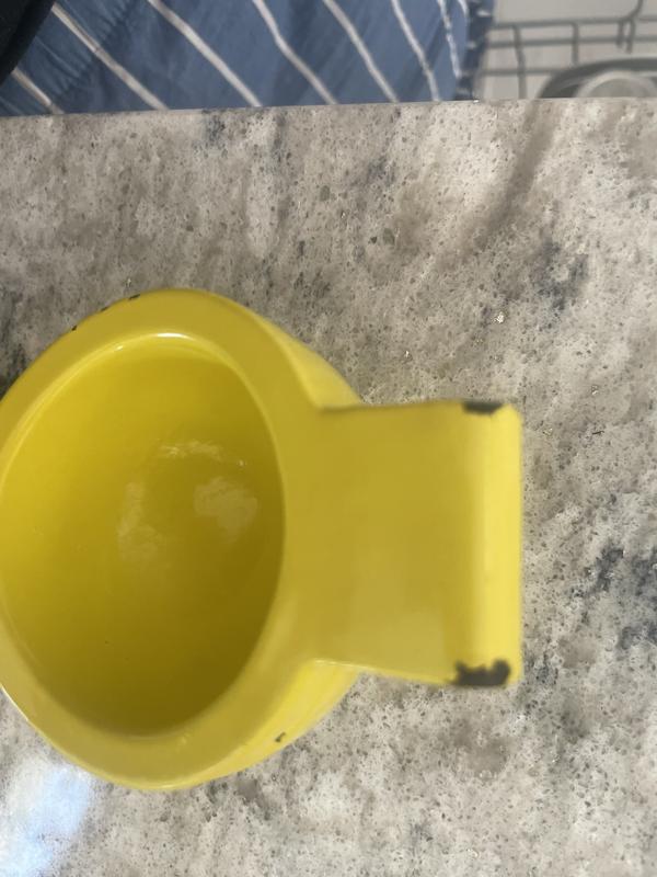 Customer carousel item 5.