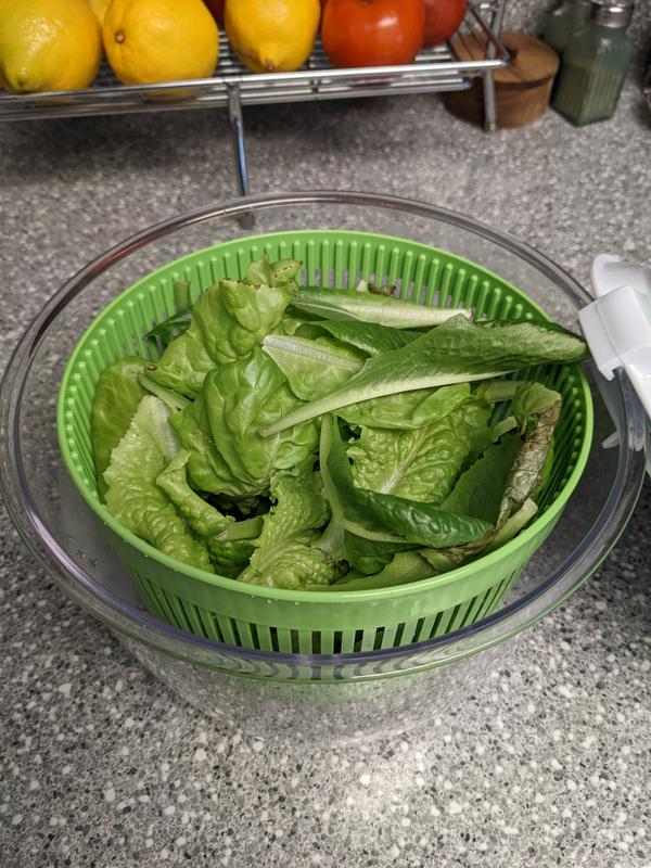 Lettuce harvest in the small salad spinner