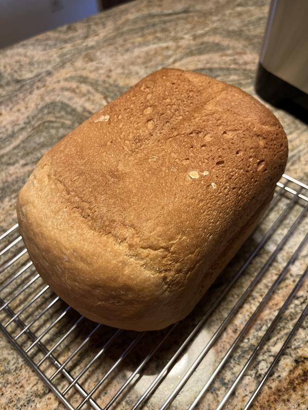 Photo - commentaire&nbsp;1.