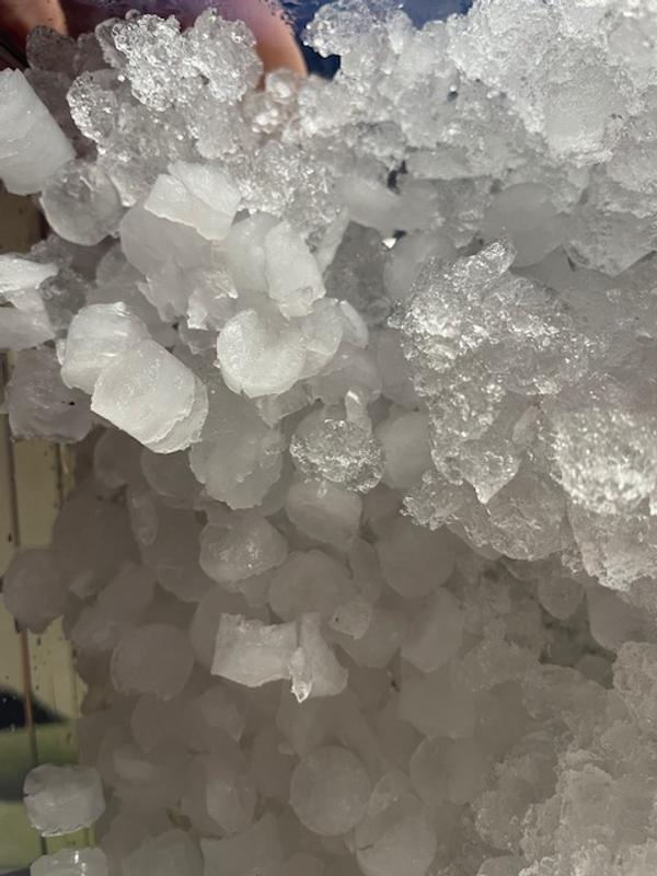 Black specs in freshly made ice!!!