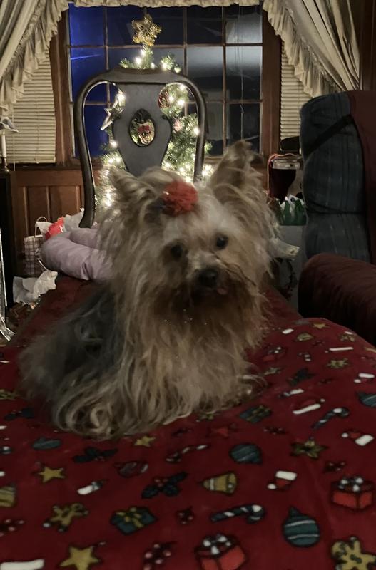 Isabella likes the Push Chopper