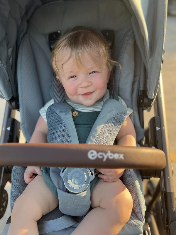 Customer photo for "The stroller I never knew I needed"