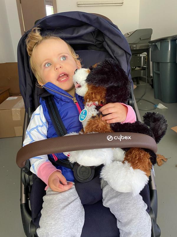All her stuffed animals along for the ride.