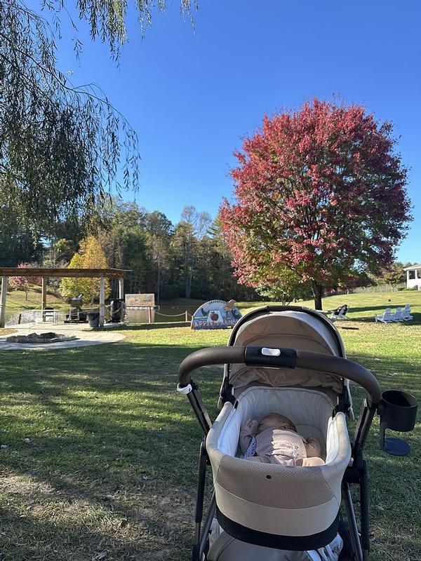 Review Thumbnail Image 1 1215394764