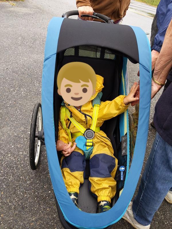 Customer photo for "Great versatile trailer and stroller"