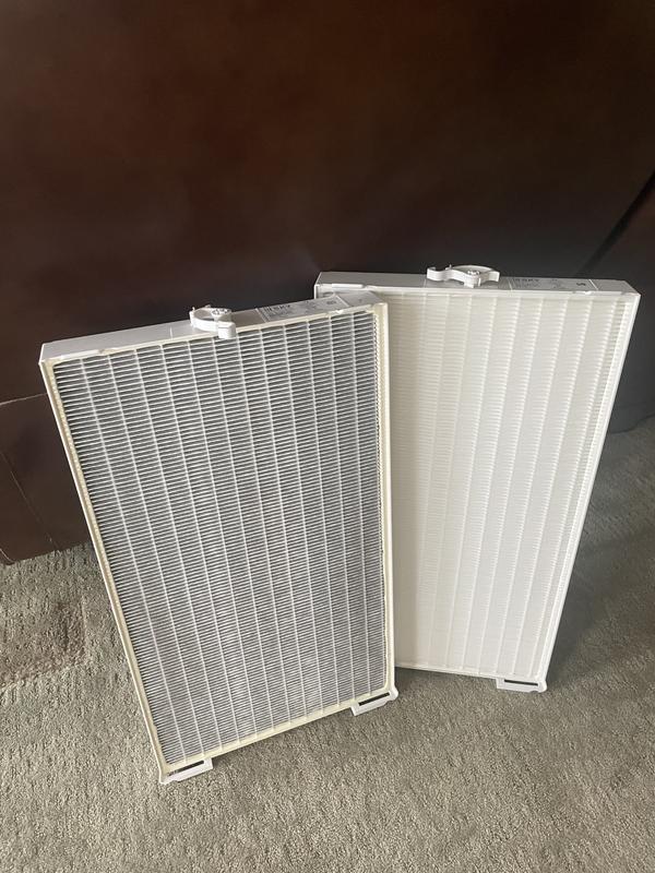 Atmosphere Sky™ Replacement HEPA Filter | Air Treatment | Amway