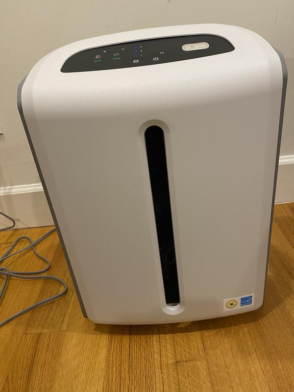 Amway air 2024 purifier mini