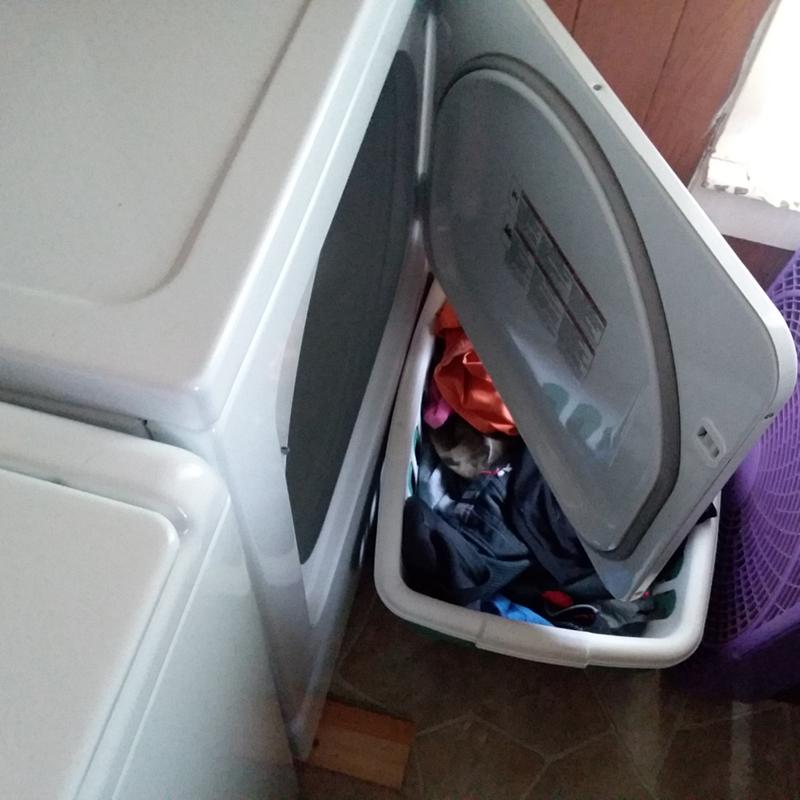 Customer photo 4 of 6. Click to open full size image.