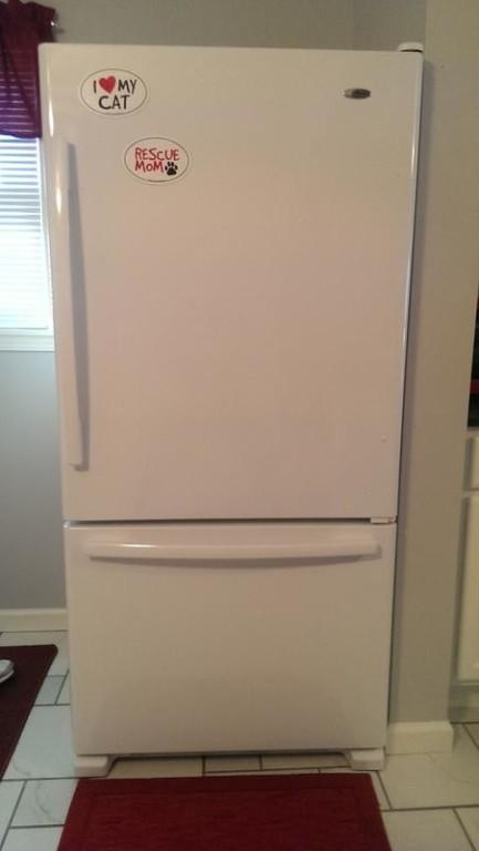 Amana AMA-ABB2224BRW ENERGY STAR® 22 Cu. Ft. Bottom-Freezer