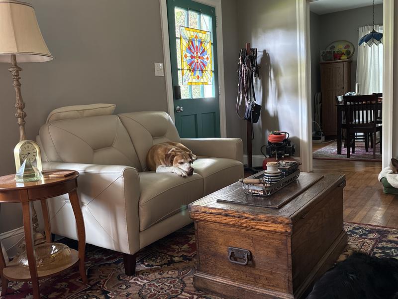 Room for the dog too!