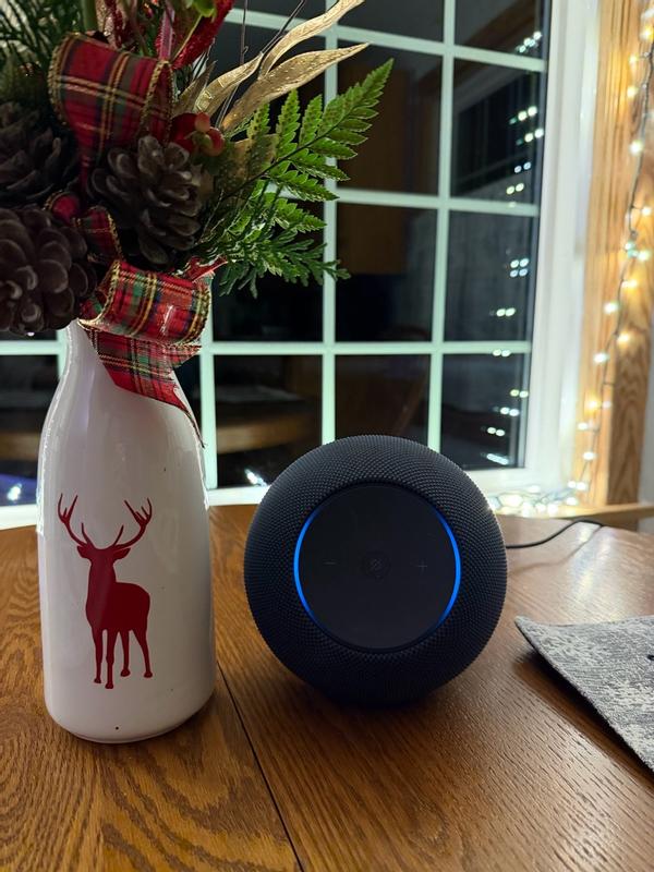 Amazon Echo Studio, Stealth Gray (newest model), our best Echo