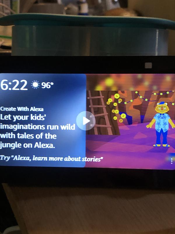 My new alexa