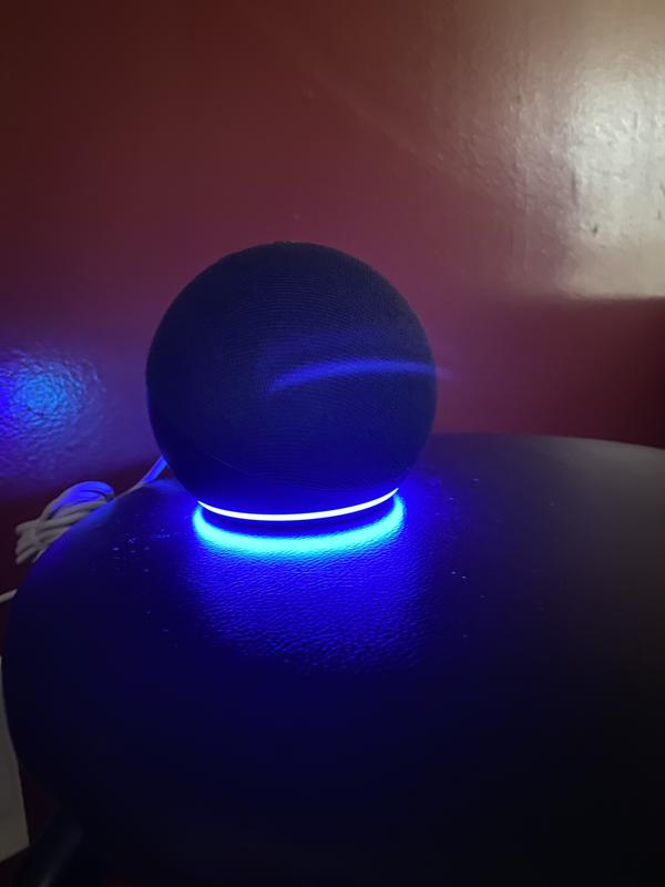 Love that amazing blue light in the dark!