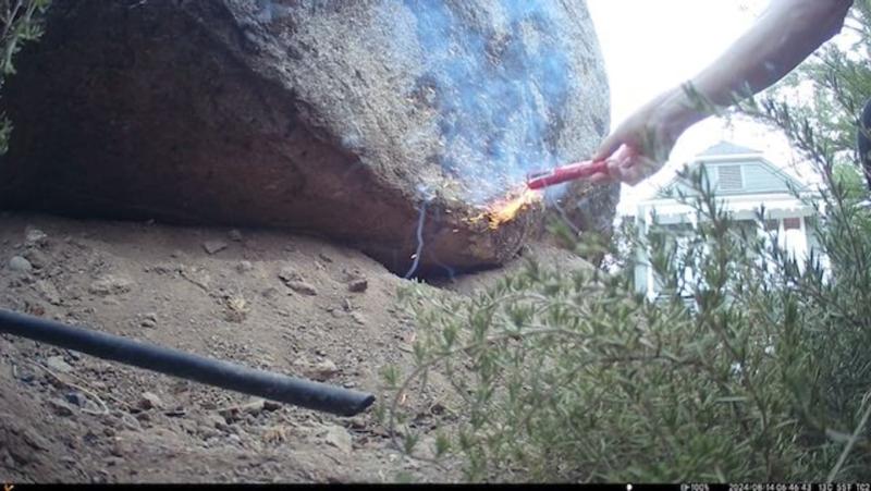 The apple was his last supper