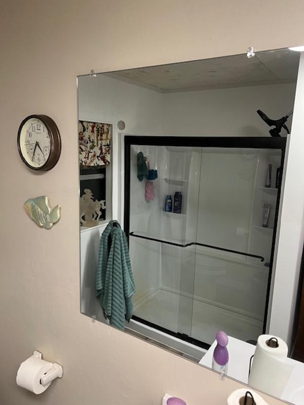 budd＆joey バオバブ Aura 40-44 x 71 in. 6 mm Bypass Shower Door for Alcove