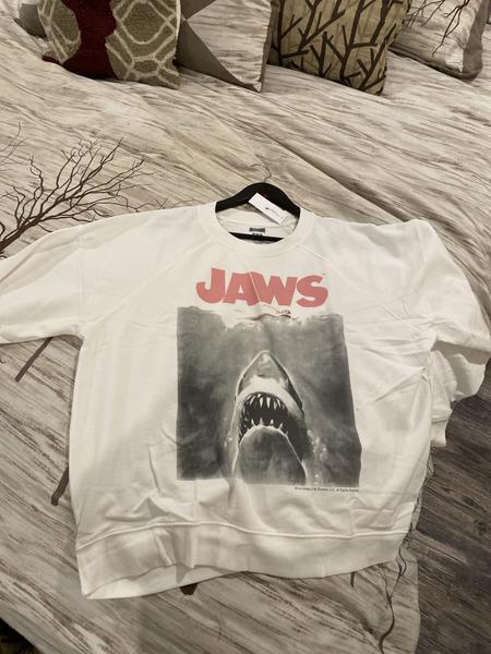 Zara discount jaws sweatshirt