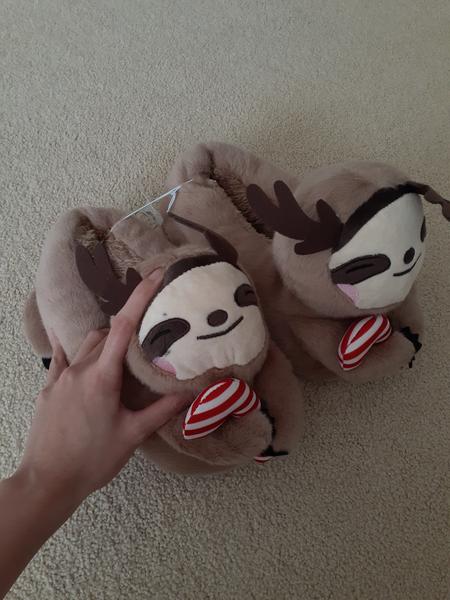 Aerie 2025 sloth slippers