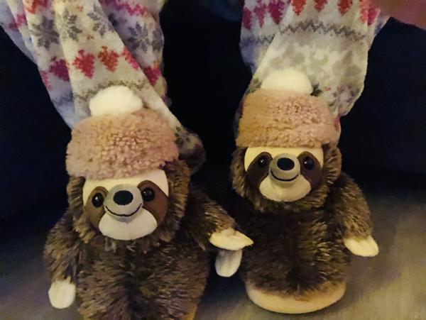 Sloth slippers best sale american eagle