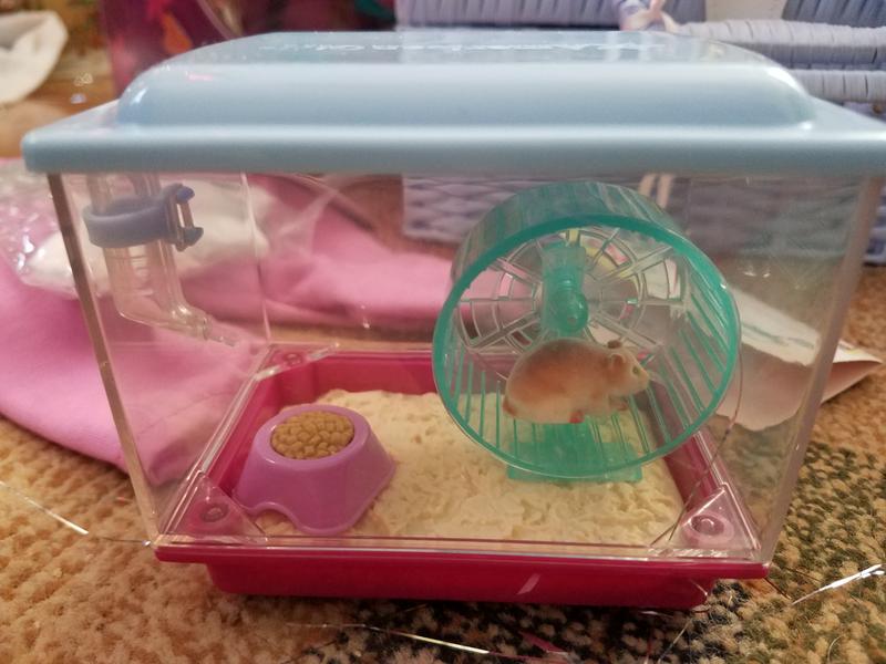 American girl hamster set online