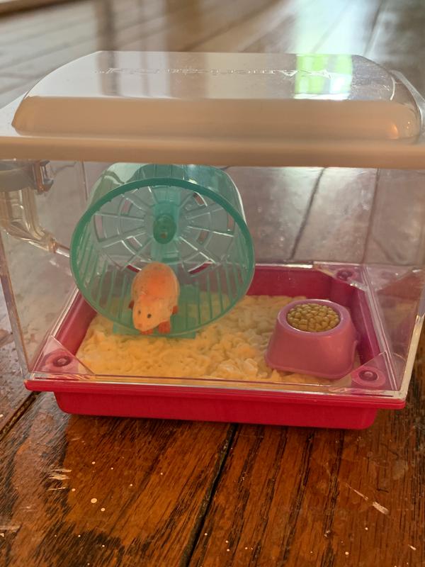 american girl doll class pet hamster