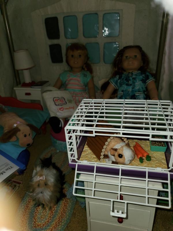 Courtney s Guinea Pig American Girl