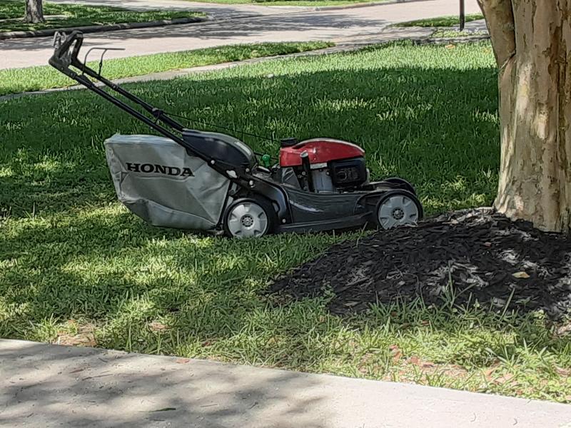 Honda HRX217K6HZA 21 Walk Behind Self-Propelled Lawn Mower w