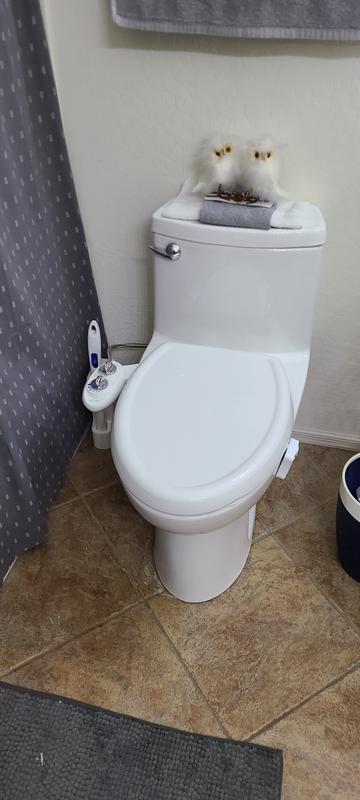 Bone American Standard 2403.328.021 Compact Cadet 3 Flowise One Piece Toilet Less Seat 