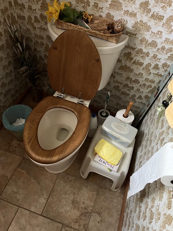 a-chan　1221 American Standard Champion Pro White Elongated Chair Height